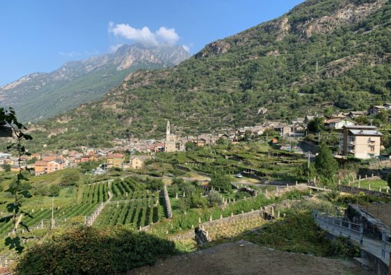 Veduta di Carema