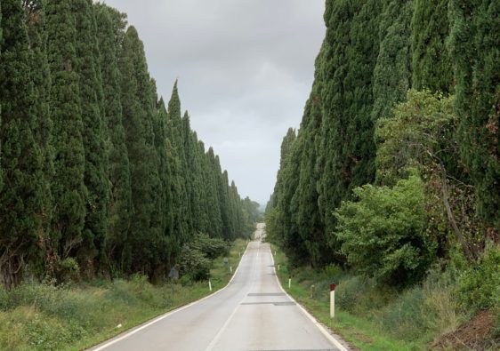 Viale dei cipressi di Bolgheri