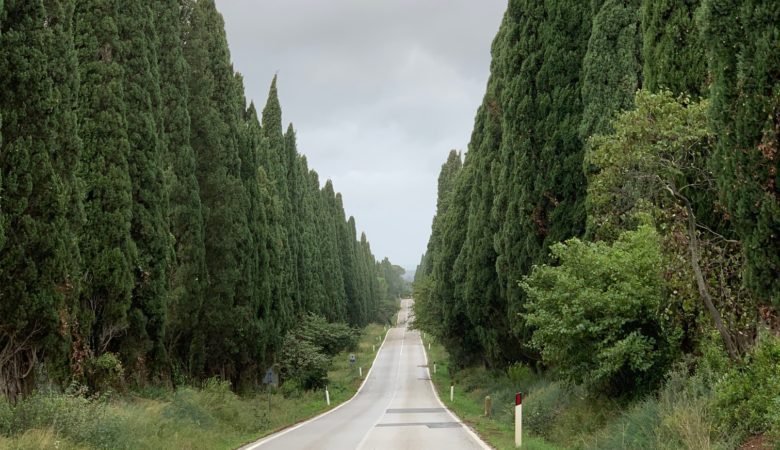 Viale dei cipressi di Bolgheri