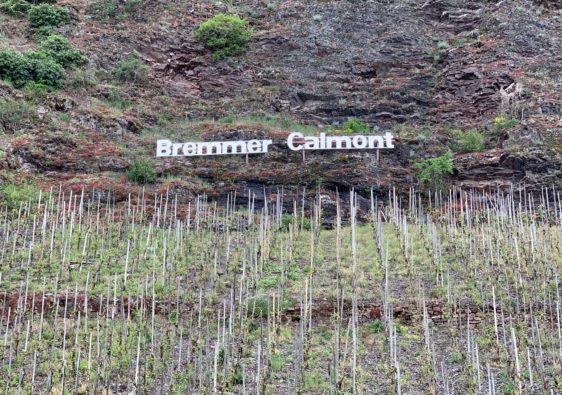 Vigna di Bremm