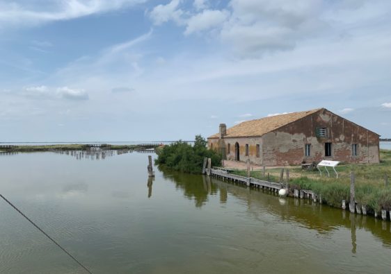 La laguna Ferrarese