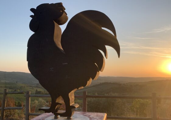 gallo nero