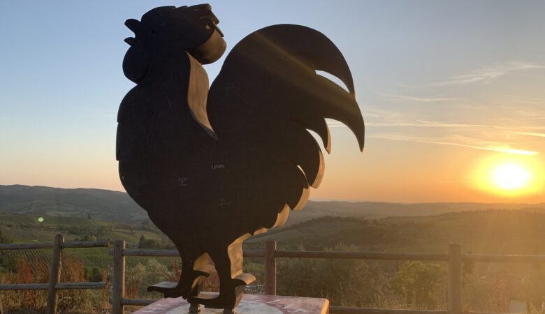 gallo nero