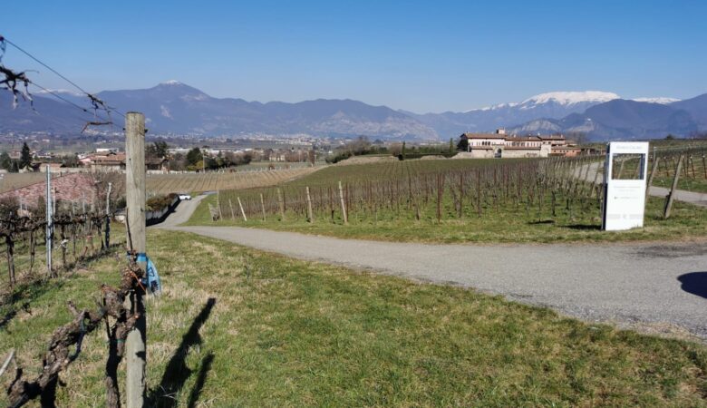 vista vigne Ronco Calino