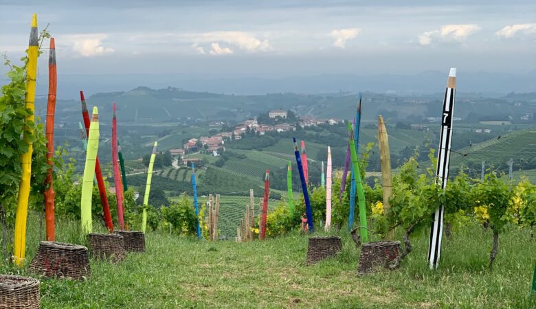 la vigna dei pastelli