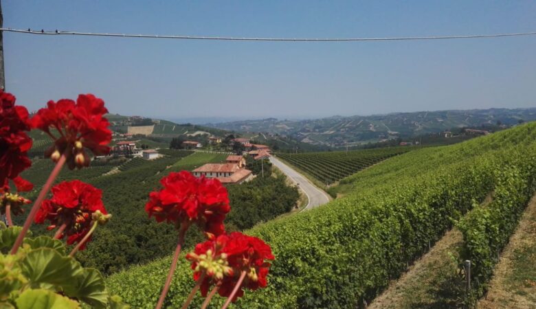 Panorama da Montelupo