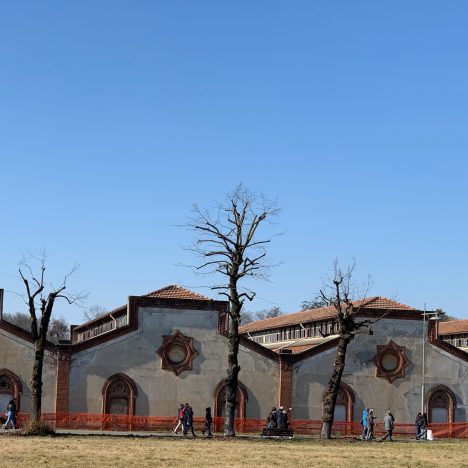 Marche in tre tappe ultima parte. Colline, vino, mare e paesaggi mozzafiato