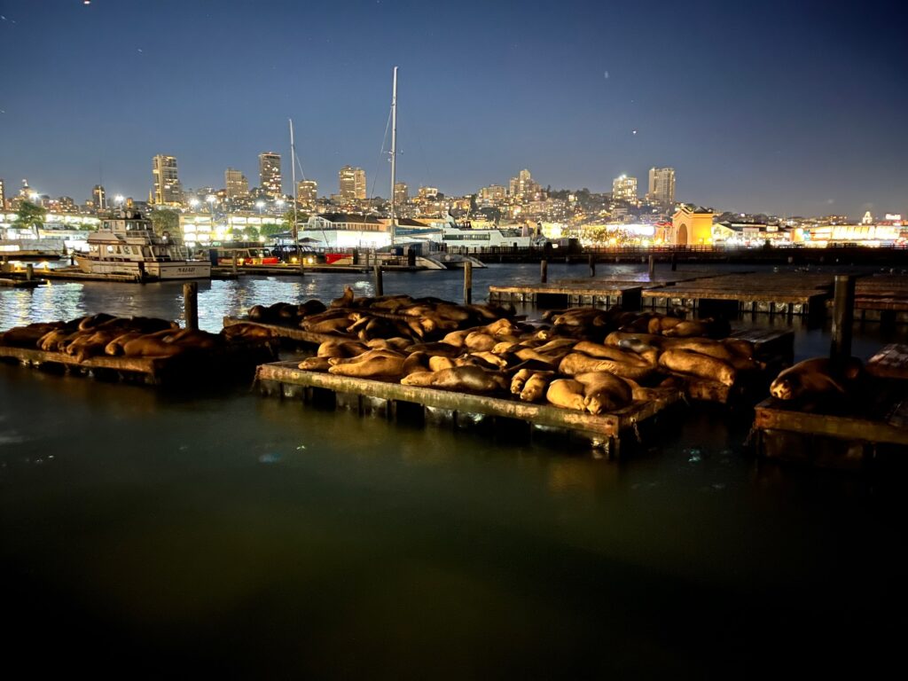 il riposo dei guerrieri, il sonno dei leoni marini del pier 39, e SF in notturna sullo sfondo