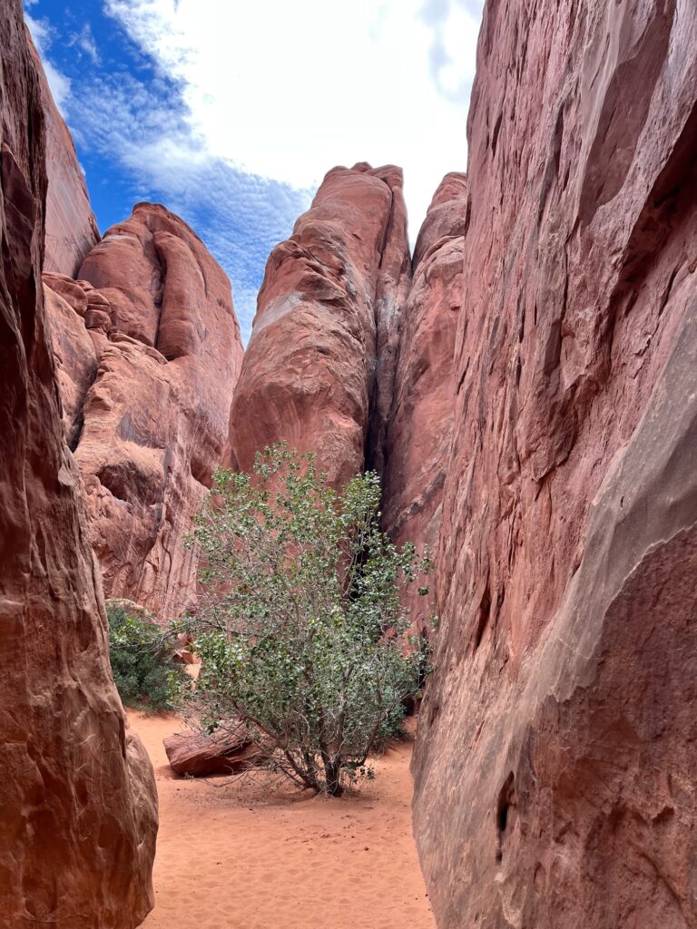 Ingresso dune arch