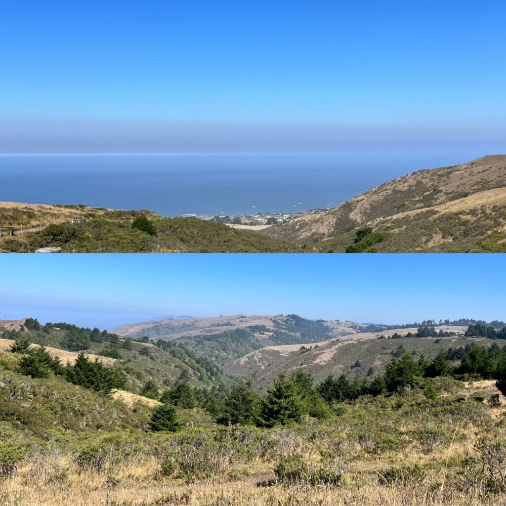 Panorami sulla foresta da un lato e sulla costa dall'altro 