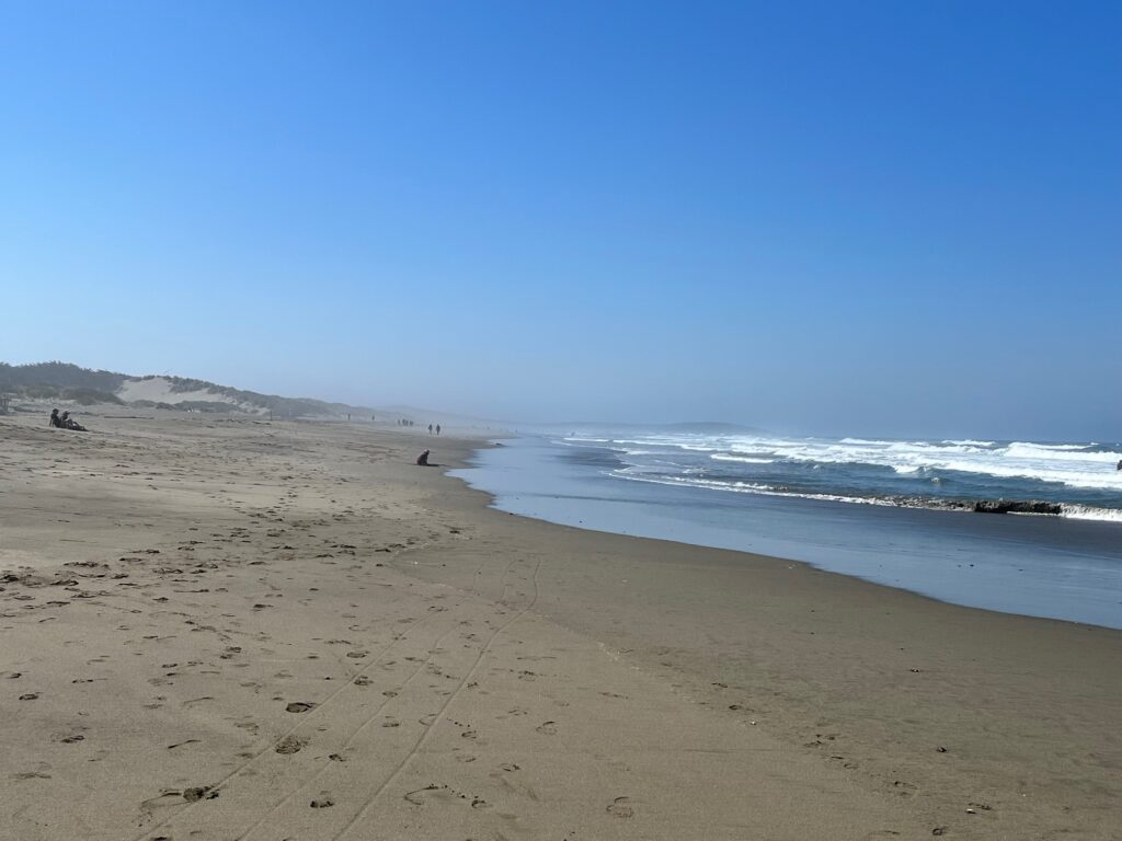 Spiaggia di Bodega Bay