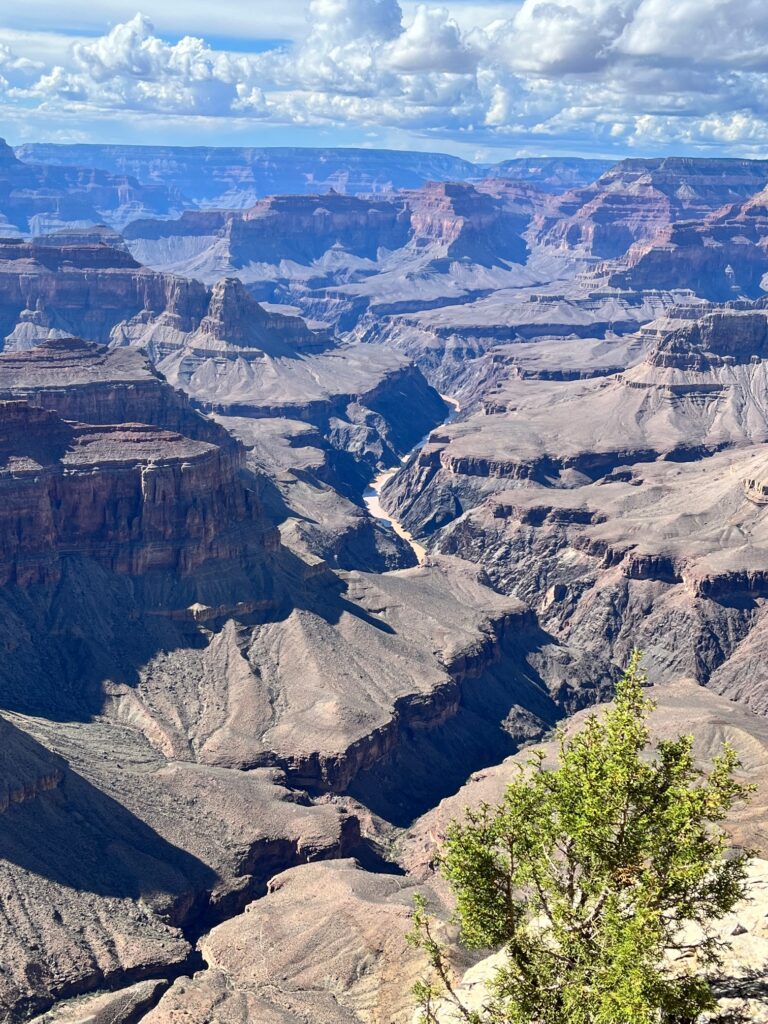 Il Colorado in fondo al Canyon