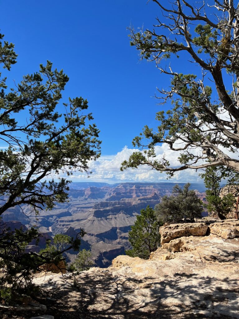 Sentiero pedonale Rim trail sulla Hermit road