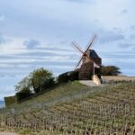Mulino a vento Champagne