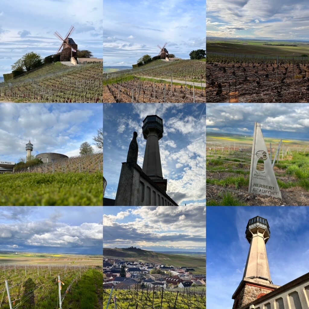 panorami delle vigne in champagne