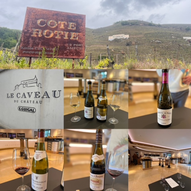 I vini di Guigal e la valle del Rodano settentrionale