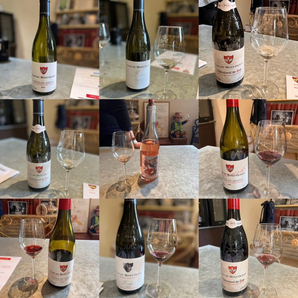 I vini della valle del Rodano Meridionale