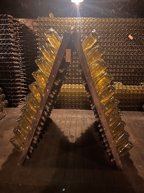 pupitre cantina Lamego