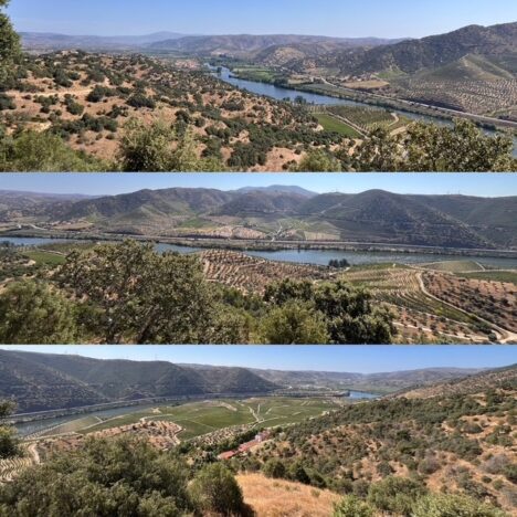 Porto e valle del Douro. 7 giorni spaziando tra oceano, fiume e vigne
