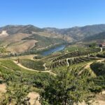 vista dalle vigne della tenuta durante la passeggiata