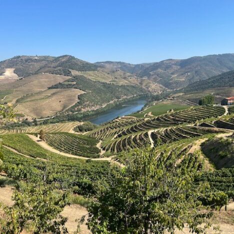 La valle del Rodano in tre giorni