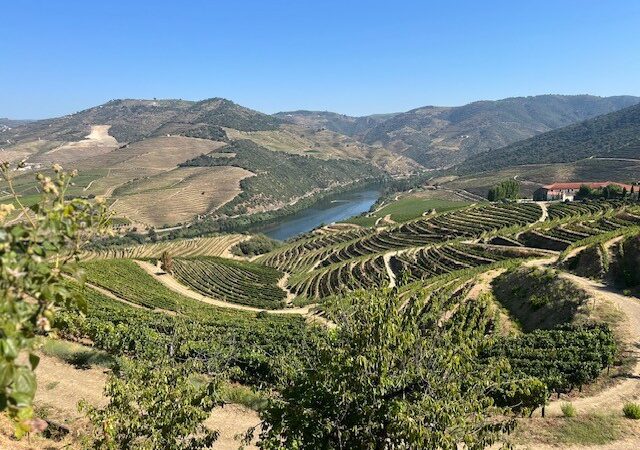 vista dalle vigne della tenuta durante la passeggiata