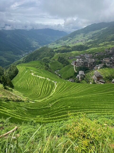 Panoramica risaie il dorso del drago